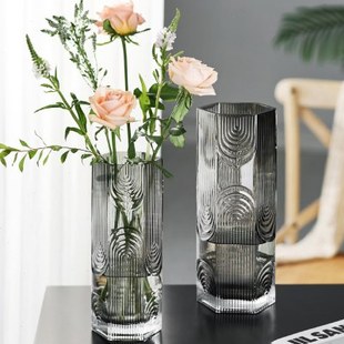 轻奢玻璃花瓶北欧风客厅摆件插花水养富贵竹创意新款高档高级感