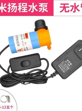 水泵小型迷你抽水机微型家用12vD抽水泵开槽机水钻专用潜水自吸泵