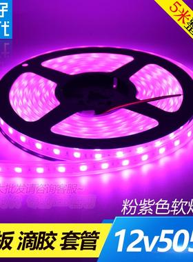 12V伏粉色灯带5050粉紫色贴片软灯条LED灯带 汽车12V防水软灯条