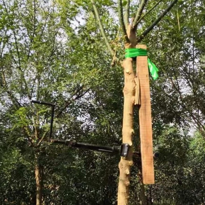 树木拉直机纠正固定神器树木直弯C器苗木直树器国槐调直器园林工