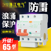 珠江防雷漏电保护器浪涌漏电开关断路器家用漏电总开关2P漏电保护