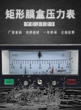 上海本都 矩形膜盒压力表YEJ-121  ±120PA  规格齐全