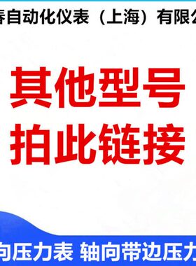 轴向压力表轴向带边压力表Y60ZY100ZY150ZYXC100ZYXC150ZYN60