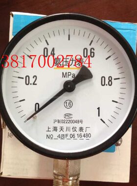 上海天川仪表YA-100氨压力表0-1MPA天川氨用压力表 氨气压力表