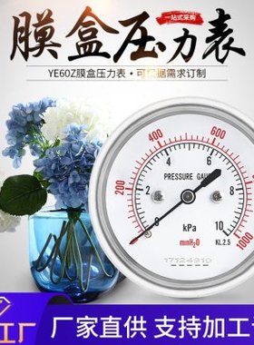轴向无边膜盒压力表YE60Z 轴向精密压力表抗震耐压防腐蚀压力表