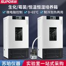 低温BOD生化培养箱150霉菌培养箱恒温恒湿培养箱