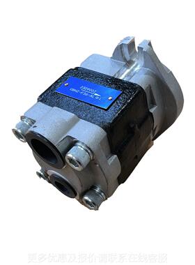 --3压FGU6-叉车泵 农机液泵