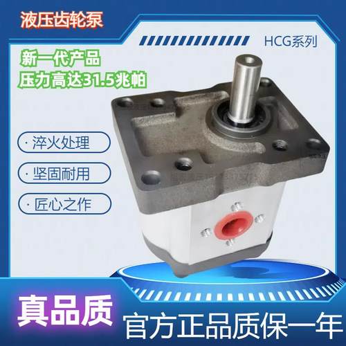 高压齿轮泵液压HCBN-F314 F316 CBT-E310EG325质保一年31.5兆帕
