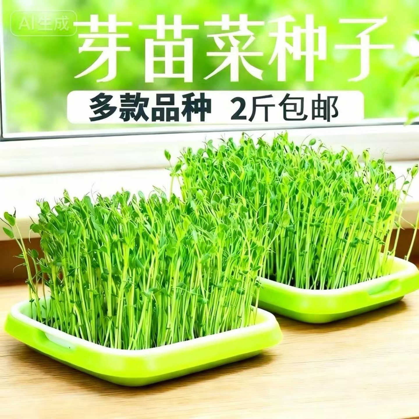 豌豆苗种孑豌豆种籽芽苗菜种籽