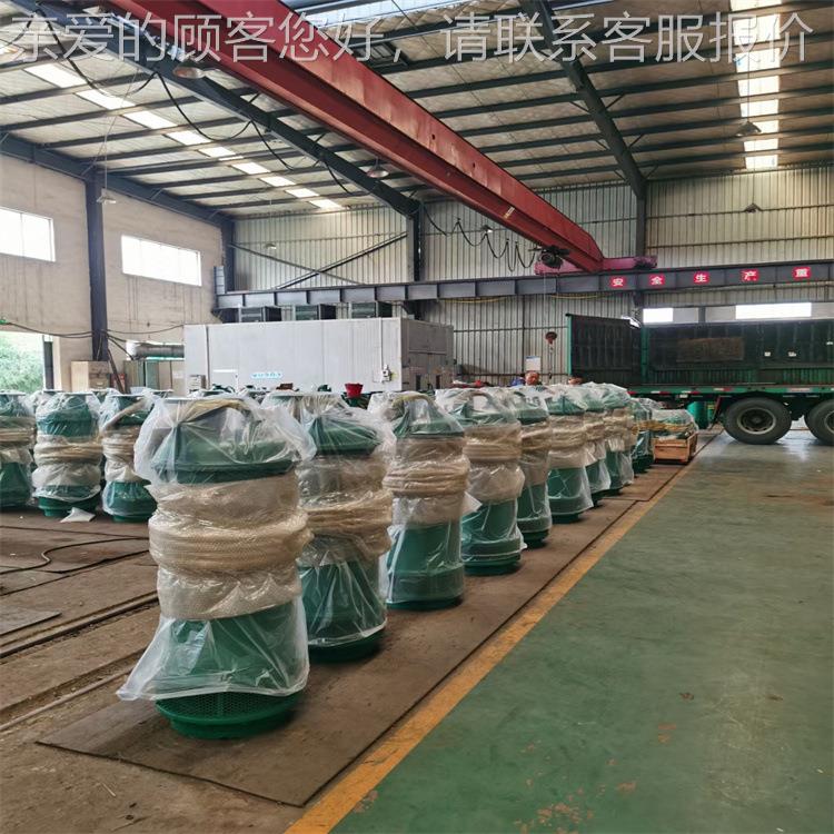 BQS804-240/-13/N潜水泵 立式 机潜水 防整爆441潜水2泵