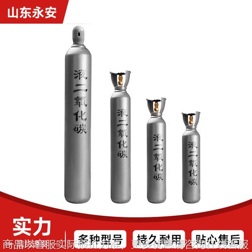 10/15/40升二氧化碳瓶工业小钢瓶氩气瓶氮气瓶无缝钢瓶气罐