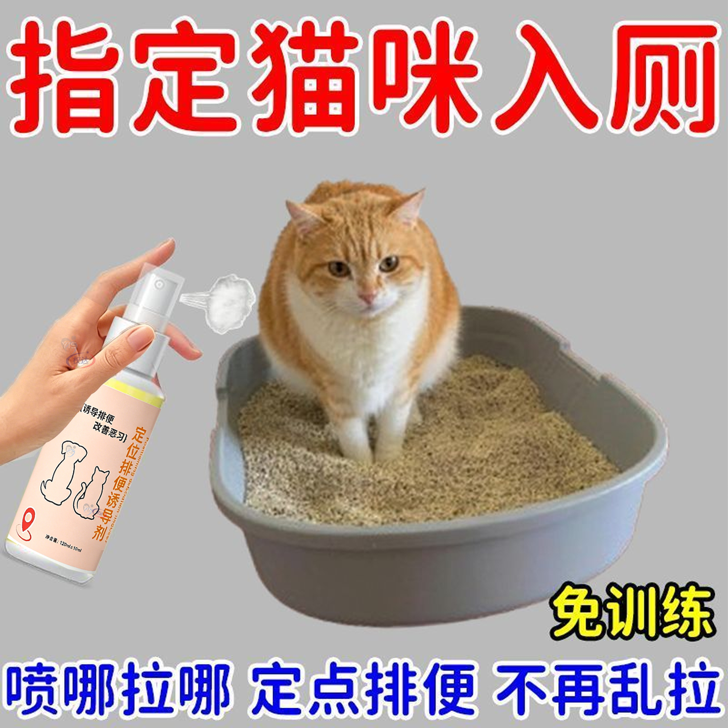 宠物诱导剂适配猫狗定点如厕训练
