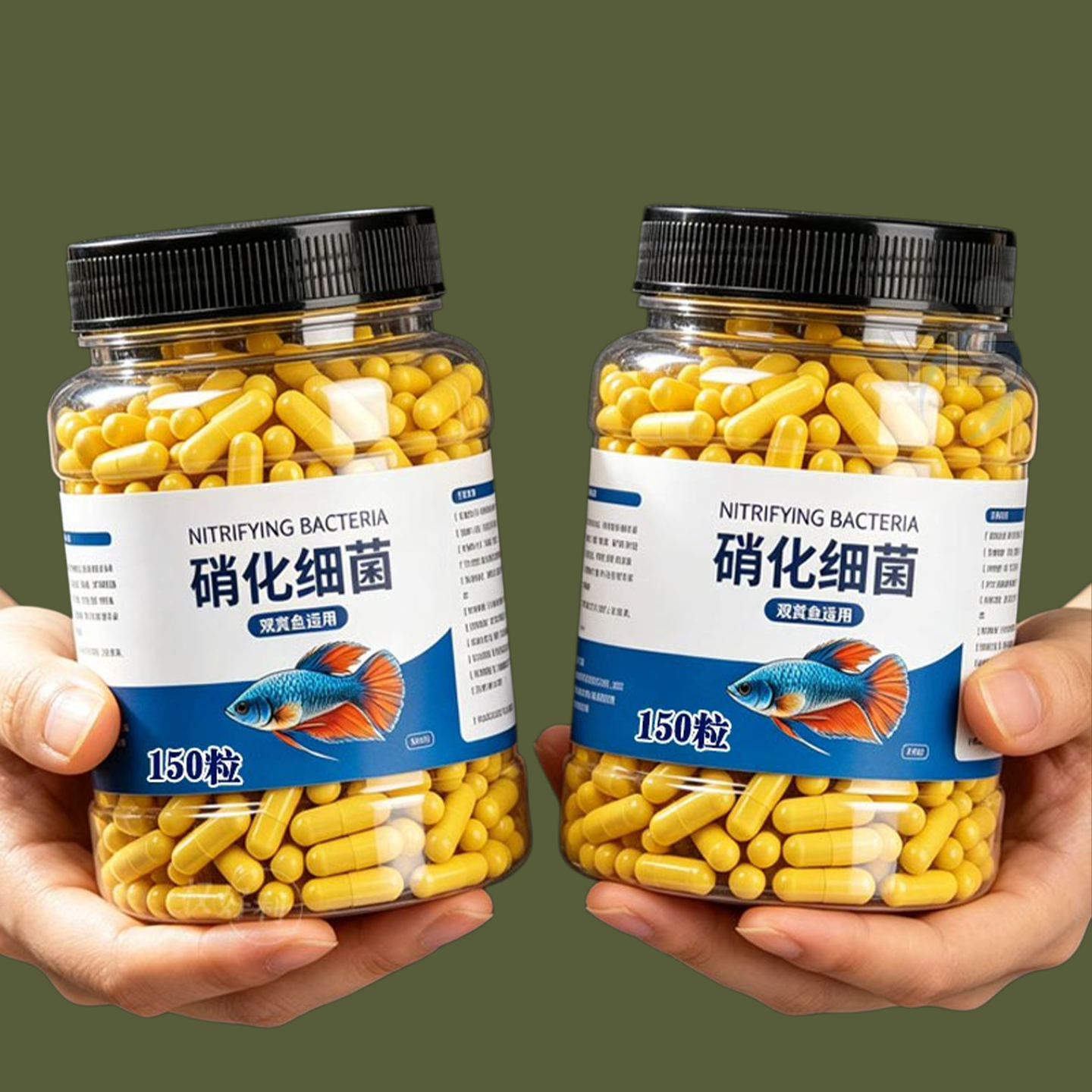 硝化细菌鱼缸用专用胶囊净水剂颗粒活菌干粉水质稳定净化水族鱼用