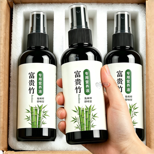 绿植营养水剂呵护竹茎常年青翠