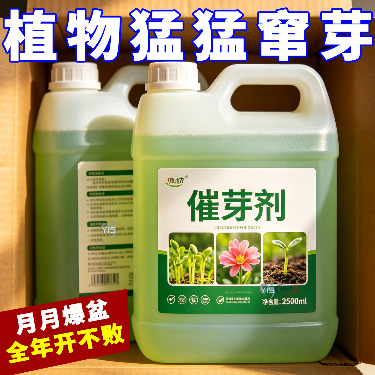免稀释催芽剂丨老桩冒出健壮新芽