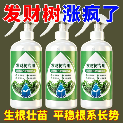 发财树专用营养液水培室内盆栽植物营养液通用型肥料水溶肥治发黄