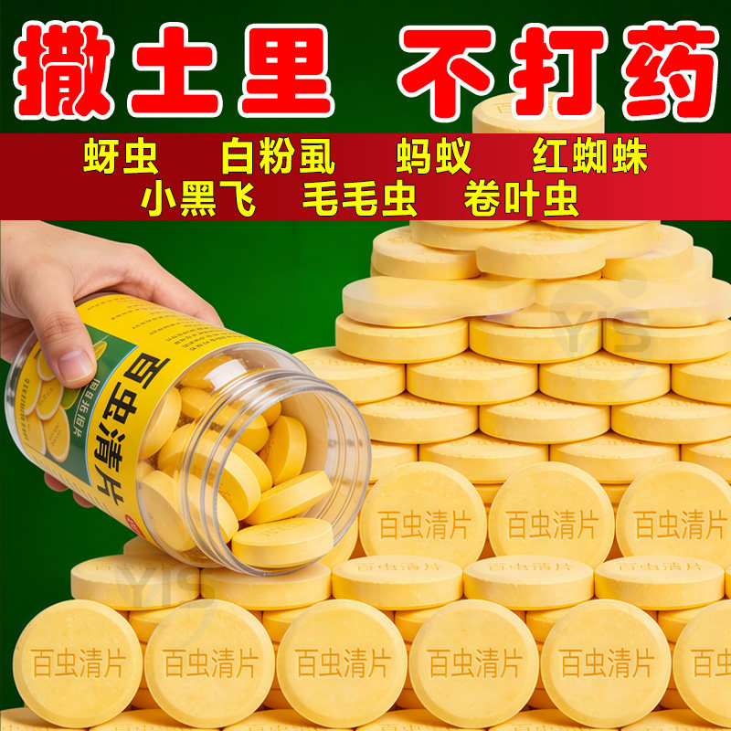 家庭园艺防虫片防小黑飞蚜虫白粉虱小菜蛾飞虫专用花卉绿植多肉,鲜花速递/花卉仿真/绿植园艺,家庭园艺肥料,淘宝优惠券,粉丝福利购,淘宝优惠卷