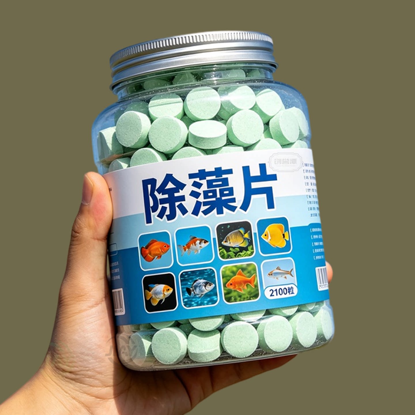 【鱼缸除藻片】去苔剂鱼缸专用去绿水绿藻青苔清除剂丝藻除藻神器