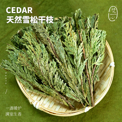 雪松干枝木条松树香天然植物香薰