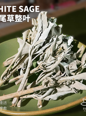 白鼠尾草整叶单枝叶子净化香薰