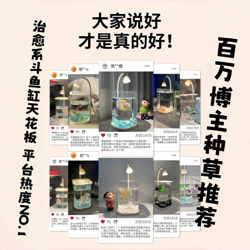 斗鱼鱼缸斗鱼缸玻璃缸小型网红客厅桌面观赏鱼造景办公室工位