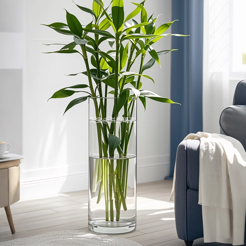 超大富贵竹花瓶高405p060cm大号落地特大号大口径透明玻璃水培器