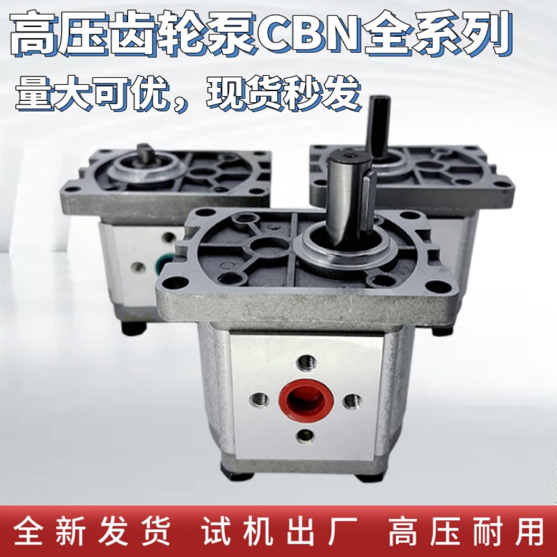 CBN-F316齿轮泵CBN-F314/CBN-F3y06/CBN-F310/CBN-F320/CBN-304/C