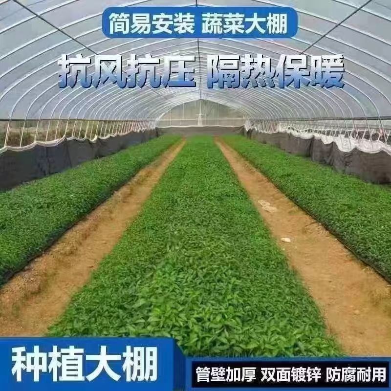 养殖大棚全套镀锌钢管架子蔬菜大棚养鸡鹅鸭棚养牛羊棚保温大棚