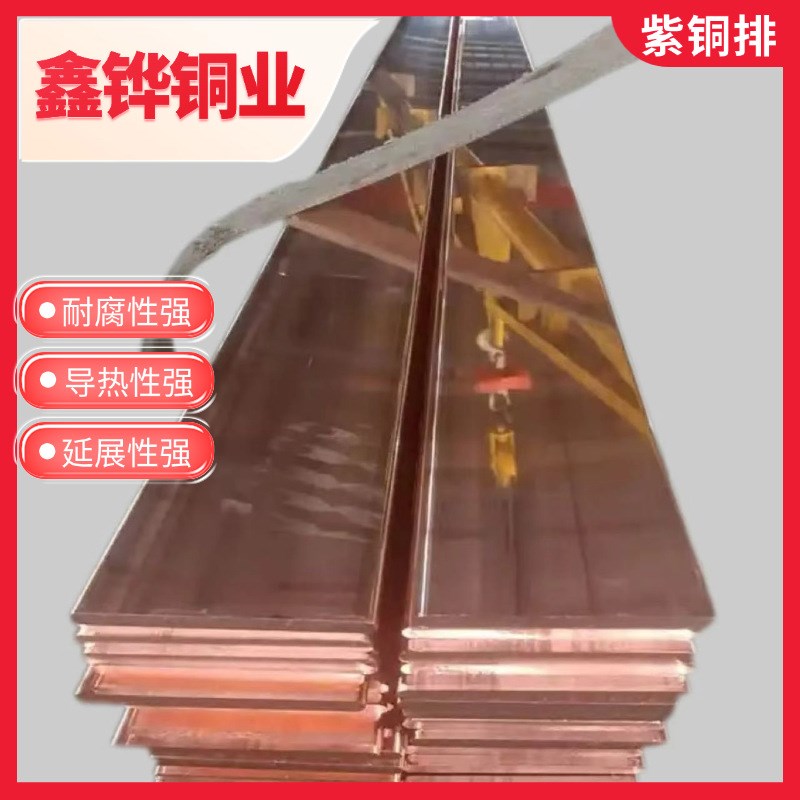 T1 T2b 紫铜排3*15-10*150-可零切12*80-14*100镀锡紫铜排接地铜