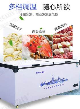 雪村顶开门商用立式小冰柜冷藏冷冻家用商用冰箱超市海鲜冷柜