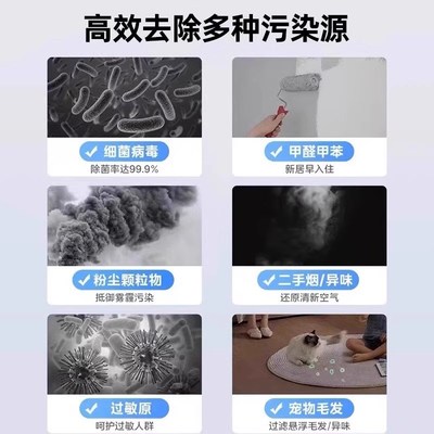 负离子空气净化器除甲醛家用宠物过滤灰尘卧室内吸烟味烟雾净化机