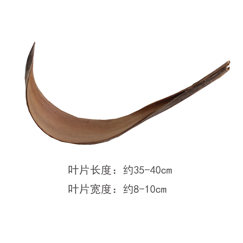 进口可可叶干花花盆空气凤梨永生苔藓桌面摆件花艺装饰室内软装