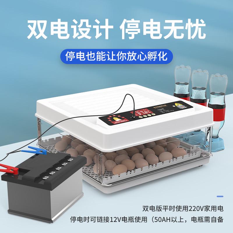 孵蛋器水床小鸡芦丁鸡孵化器小型机器家用全自动智能孵化箱孵化机