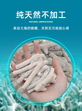 大块珊瑚骨滤材纯天然q精选珊瑚石水族锦鲤鱼缸鱼池过滤材料造景