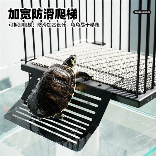 乌龟不锈钢晒背平台别墅鱼缸挂钩式防逃浮岛深水缸特大号爬台爬坡