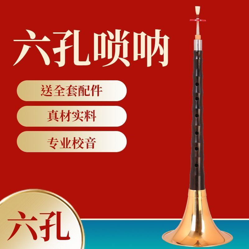 乌木六孔唢呐6孔初学者乐器笛子唢C呐喇叭全套专业降B调D调演奏
