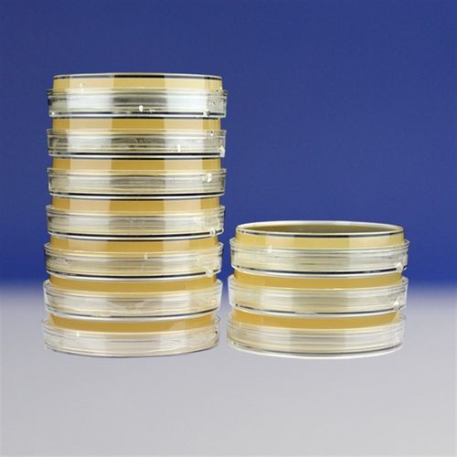 沙氏琼脂平板9cm   HBPM0235-1   10个/包