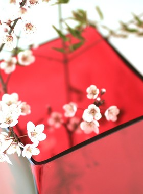 大红色方形玻璃花瓶百合花富贵竹大号落地家居现代客厅插花4050cm