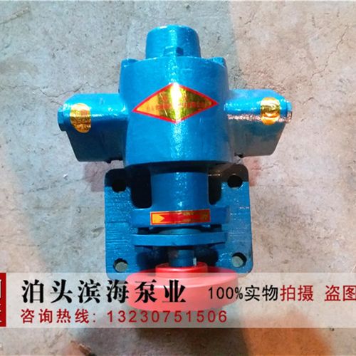 ZYB-18.g3/33.3/55/83.3渣油泵焦油泵齿轮泵 自吸齿轮油泵 输油泵