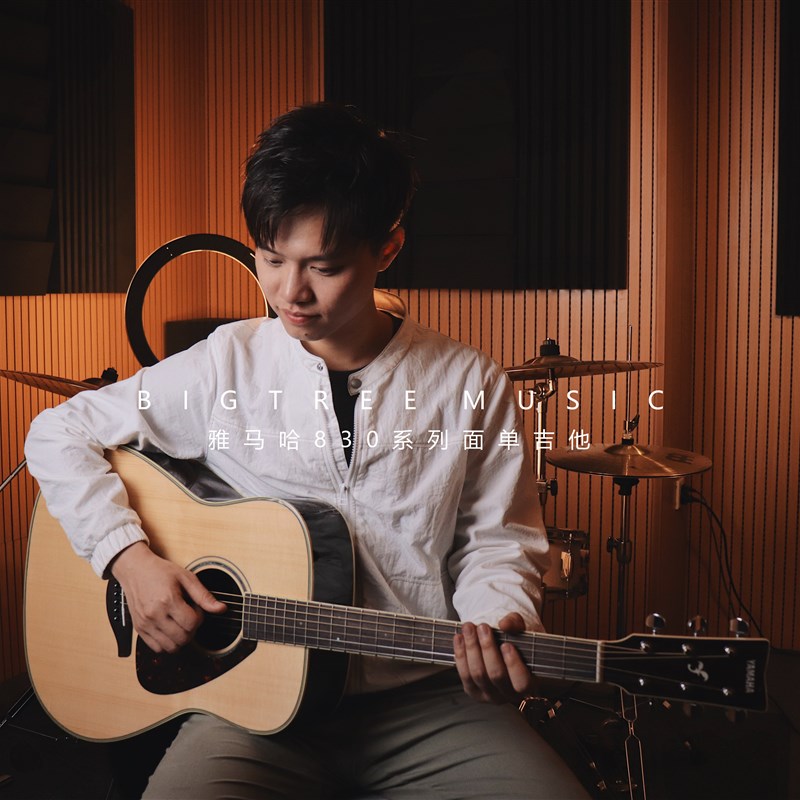 大树音乐屋 YAMAAFG830单板民谣木吉他电箱初学者FG850