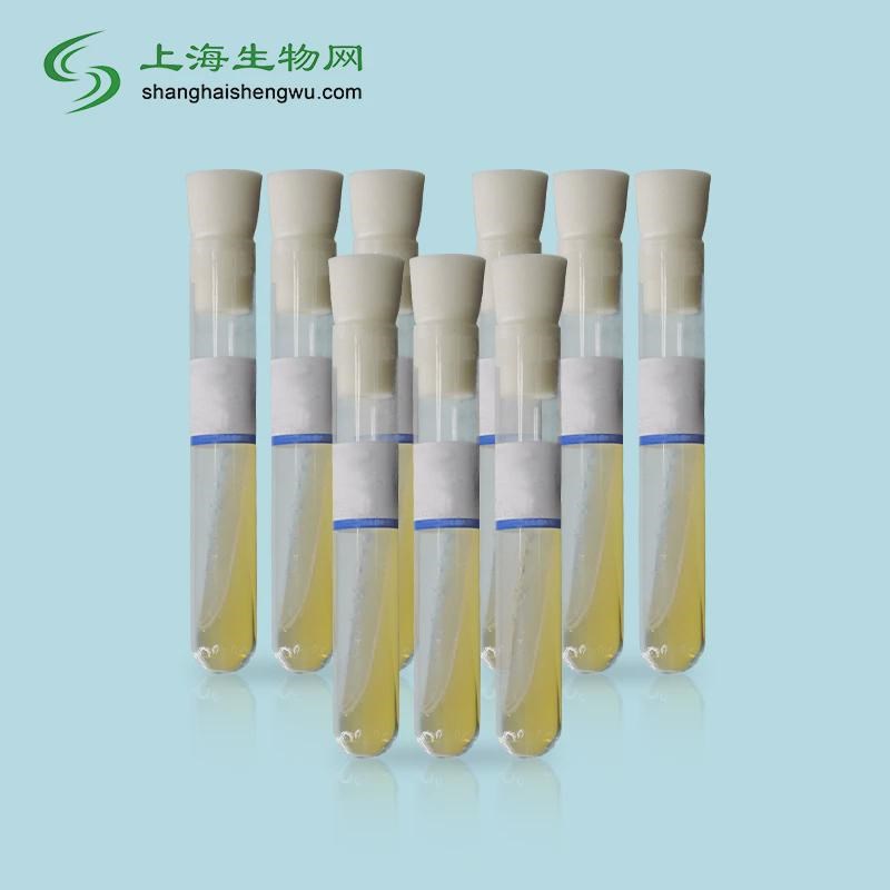 15mm150mm,18mm180mm无菌斜面试管 PDA培养基 10支装 包邮