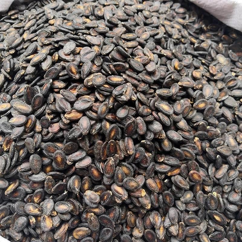 D正品新货小片生西瓜子安