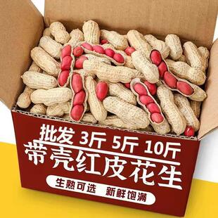 D东北红皮花生带壳生花生米新鲜晒干小粒花生炒熟花生5