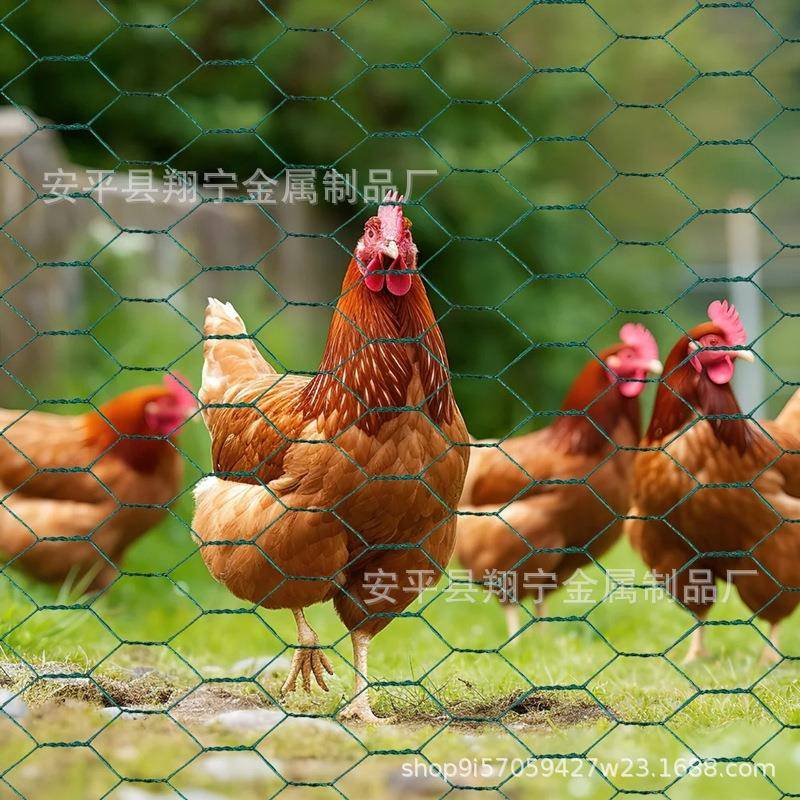 跨境PVC六角网鸡笼网绑花金属涂塑网铁丝网畜牧养殖圈兔羊拧花网