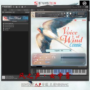 风之声优美女中音kontakt音源Soundiron Voice Of Wind Connie
