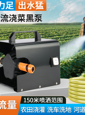 48v60v直流充电n式抽水泵浇菜神器浇水机神器农用淋菜地抽水机灌