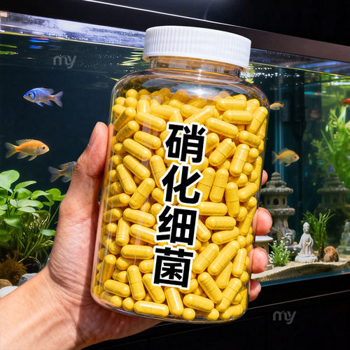 硝化细菌鱼缸专用净水净化胶囊
