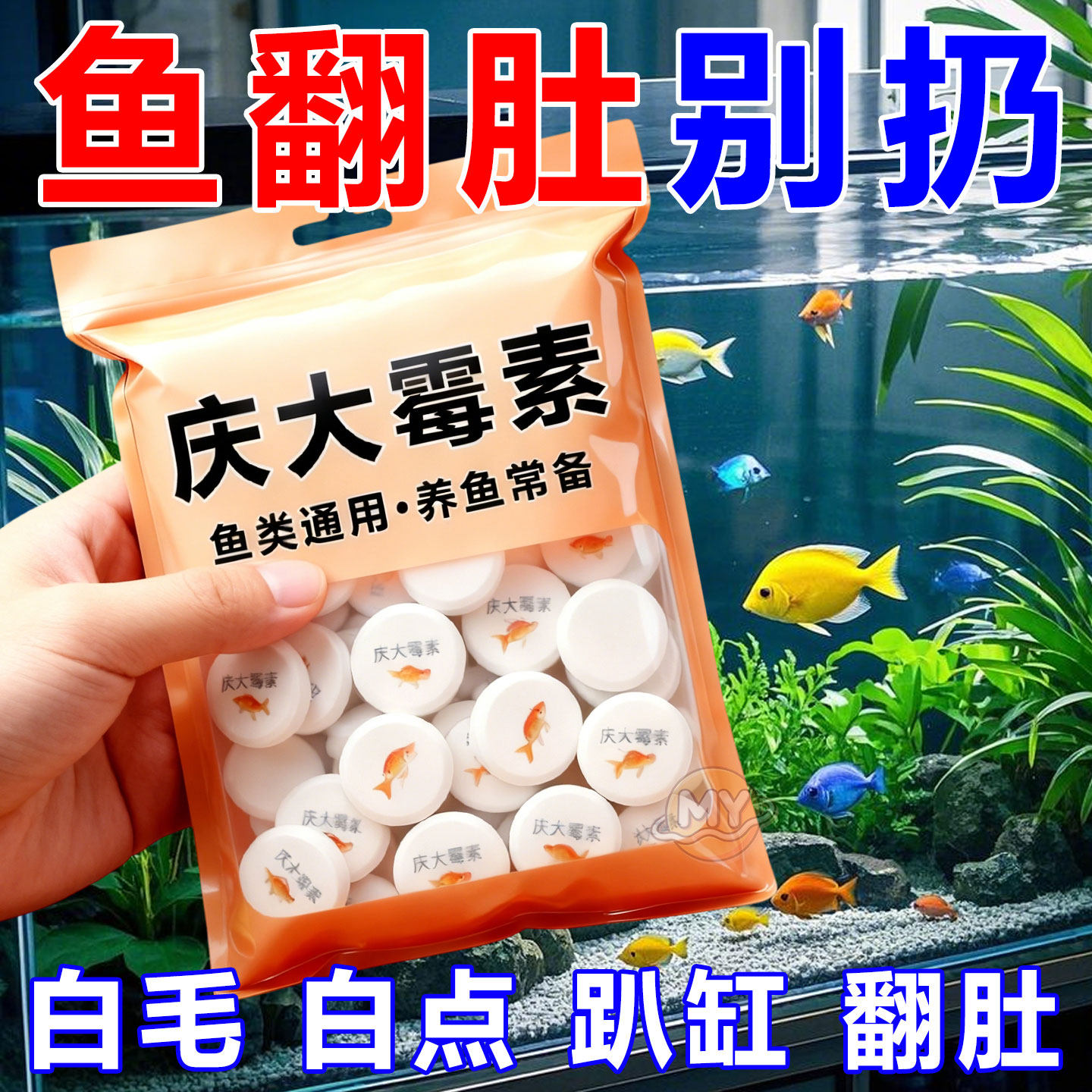 庆大霉素鱼病专用药烂身烂尾白点白毛掉磷蒙眼杀菌消炎康复消毒药