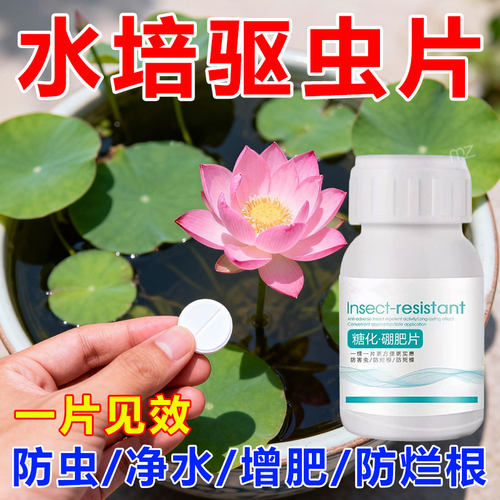 水培防虫片绿植通用除蚊虫灭幼虫