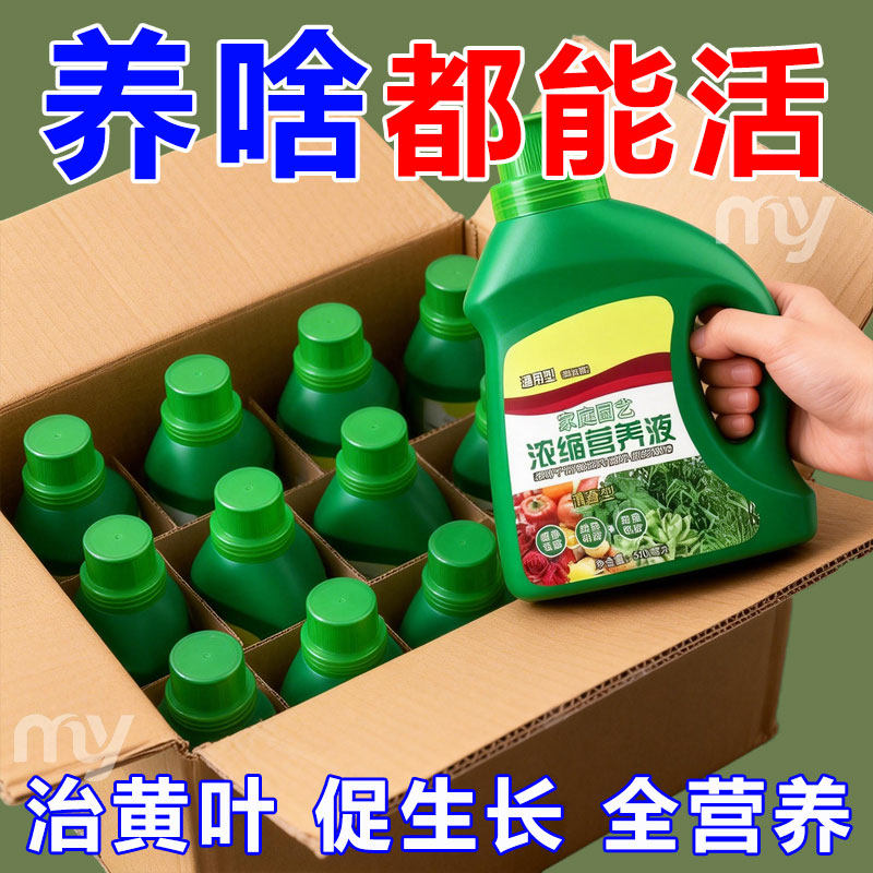 植物营养液通用型家用养花卉绿萝水培绿植多肉盆栽发财树液体料